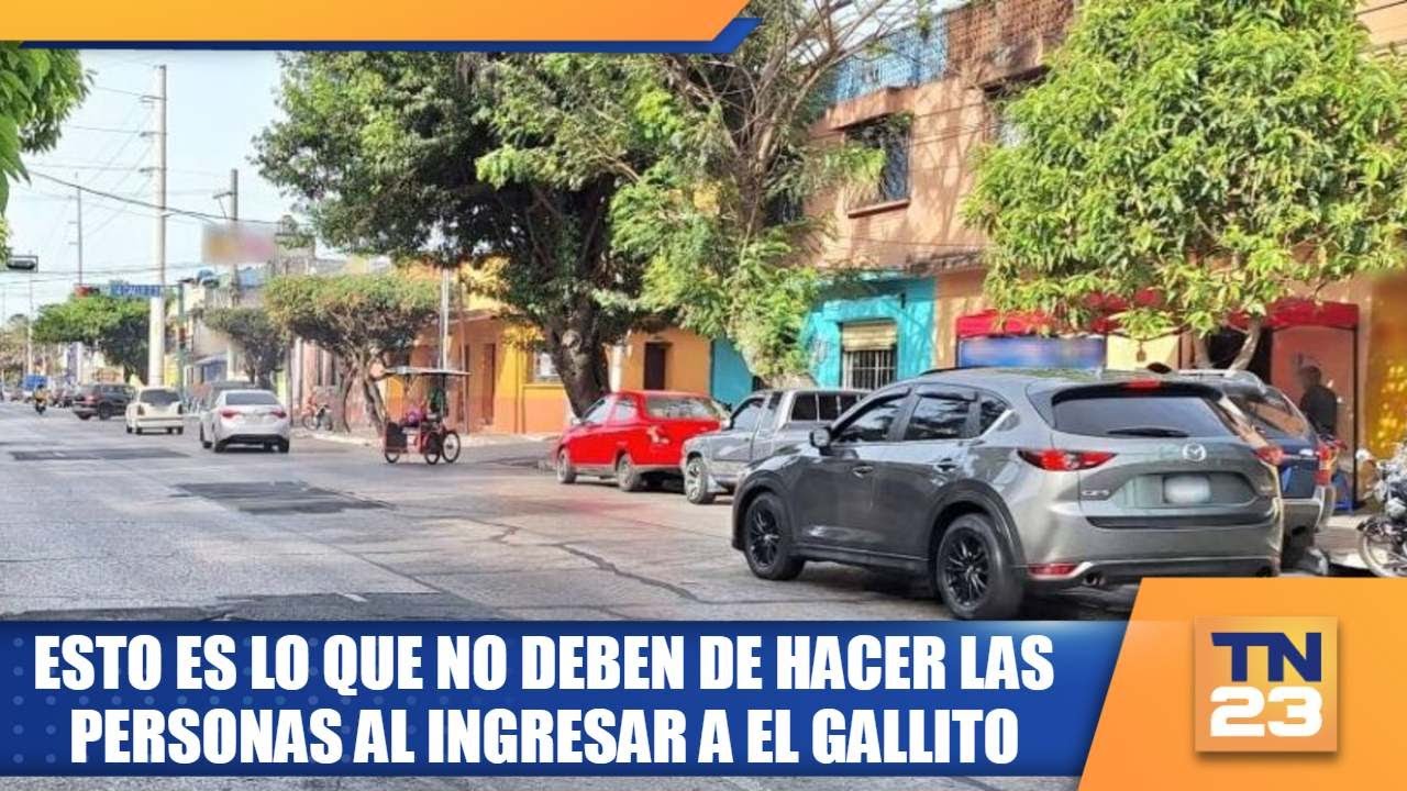 Esto es lo que no deben de hacer las personas al ingresar al gallito