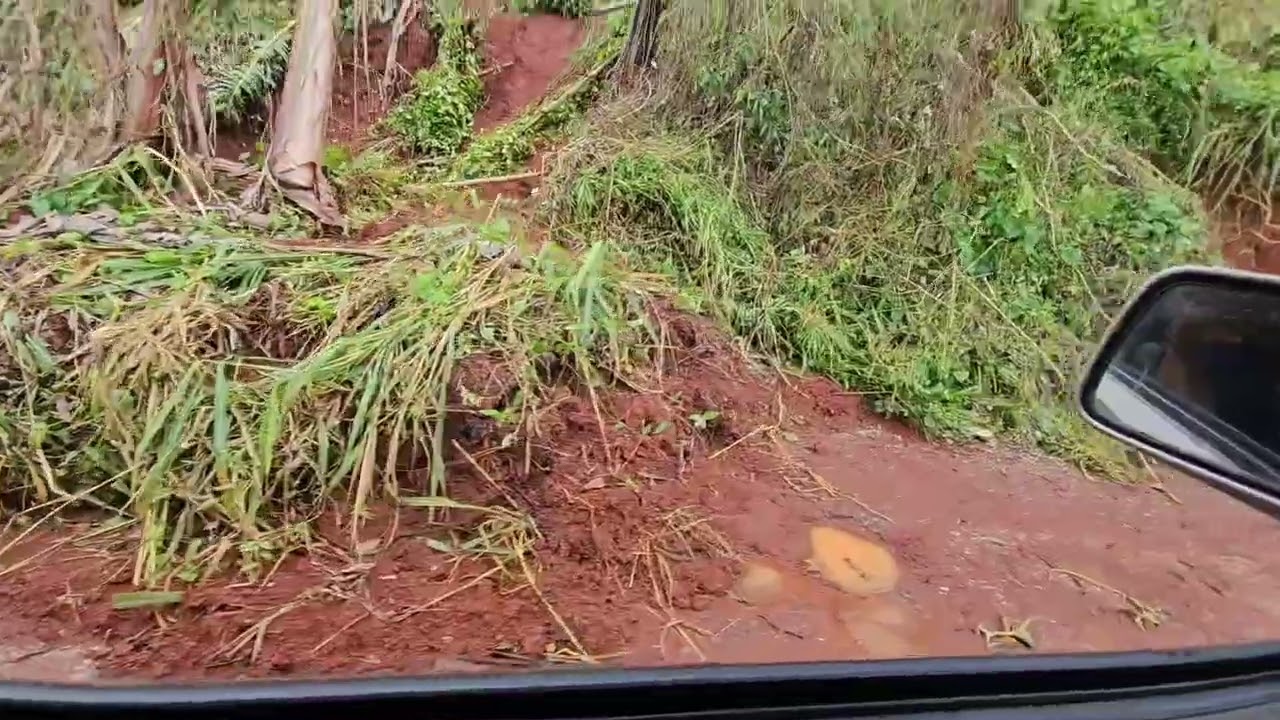 Highlight of some areas between Albert Town to Jackson Town Trelawny.  Hurricane Melissa damages.