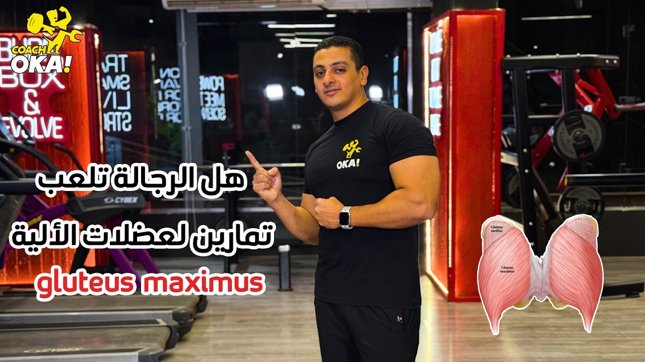 gluteus maximus |  هل الرجالة تلعب تمارين لعضلات الألية