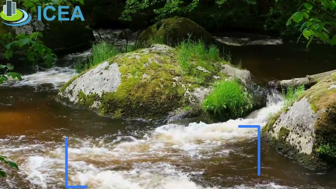 Source de la Trouillette – Géologie & cycle de l’eau | Champfromier (Ain)
