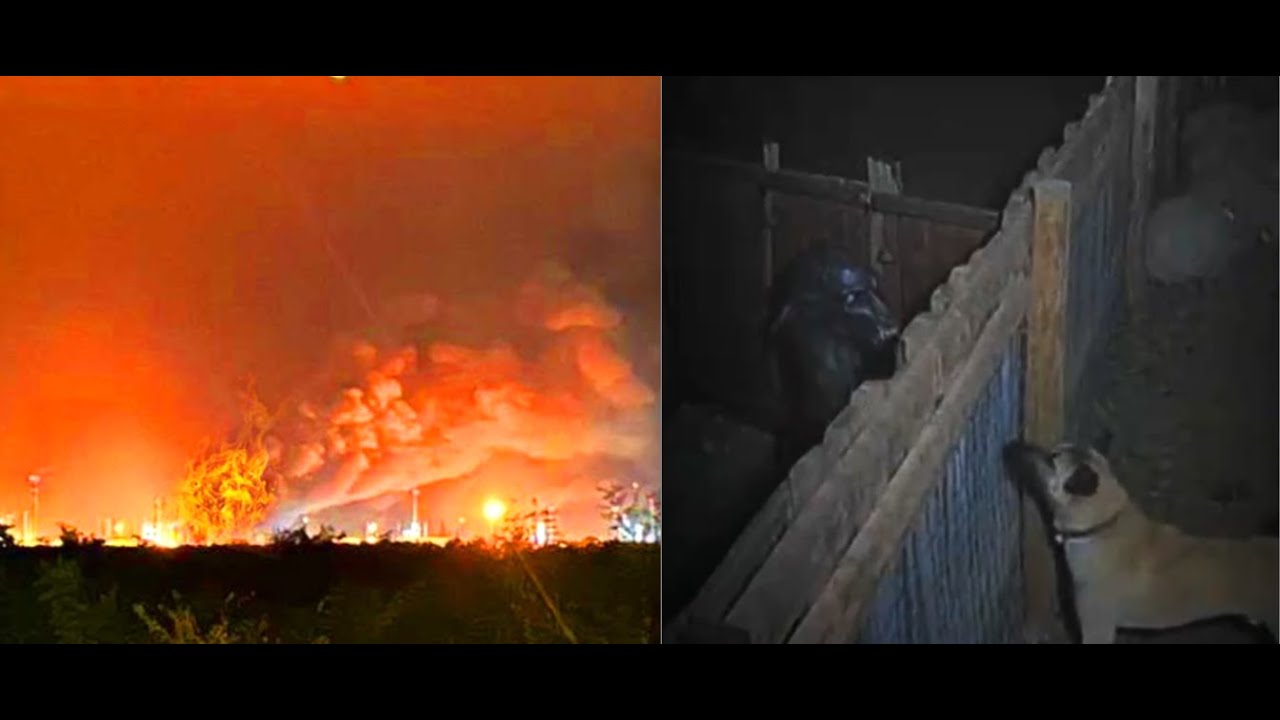 Бл*дь! ЧТО ЗА Х**НЯ ПРОИСХОДИТ???