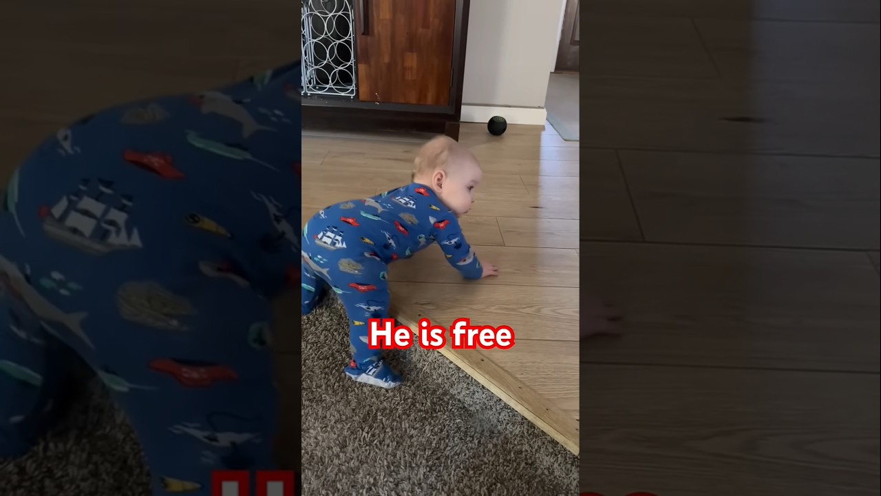 Crawling Milestones: What’s Normal & What’s Not