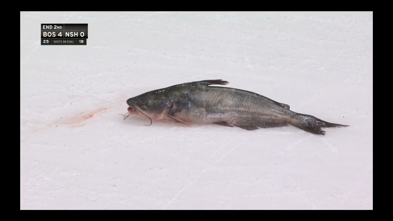 Catfish Flung on Ice before the end of the 2nd, Bruins-Predators (NESN feed)