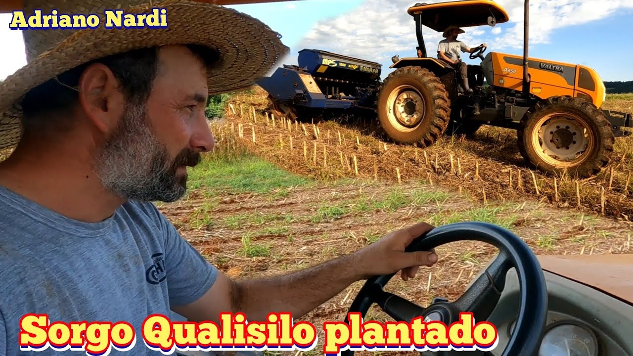Finalizando o plantio do sorgo Qualisilo para silagem,  plantio realizado no dia 31/01/2026.