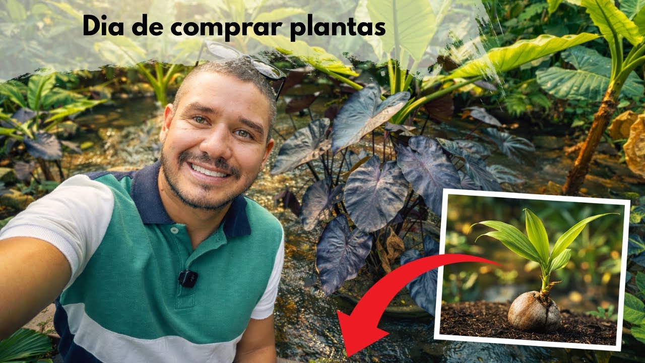 Día de viveros: volví por la palma de coco, compre Orquideas y una Alocasia gigante
