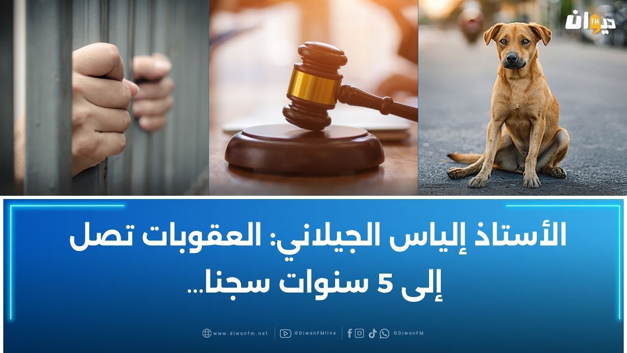 ظهروا في فيديو وهم يܫܥ̇‌‌ّܢ̣وܔ كلبا حدّ اڷـمـވü : إماطة اللثام عن مرتكبي الڃـرېـمـۂ
