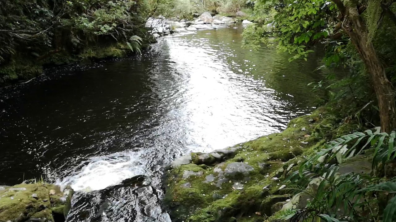 Matai falls walking trail