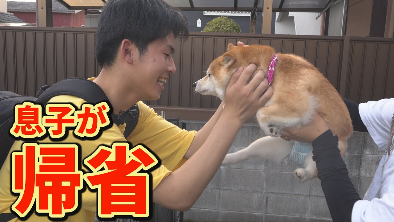 約5か月ぶりの再会を、嗚咽をあげながら喜ぶ柴犬にジーンときました・・・