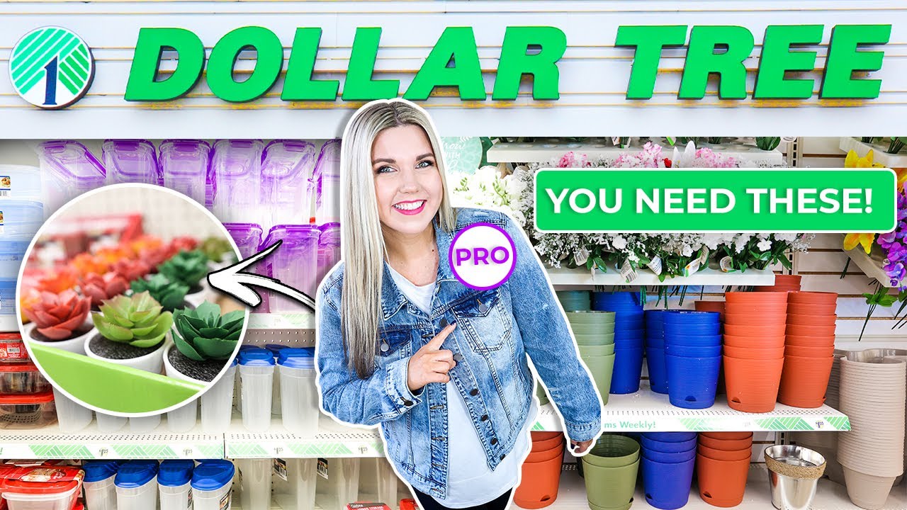 Top 25 Hidden Gems from a Pro Dollar Tree Shopper