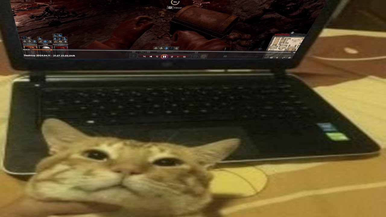 War Maul - bonjur