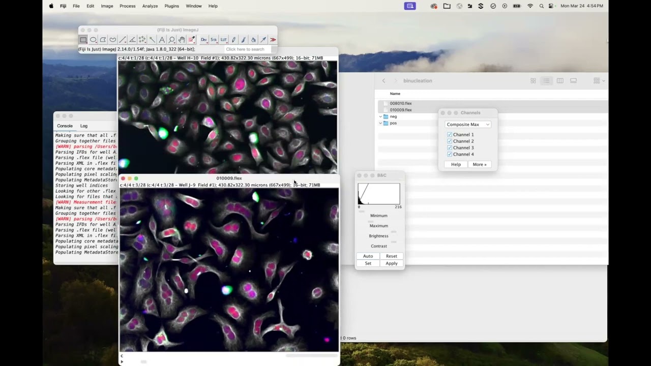 Loading Images with Proprietary File Formats in Fiji and CellProfiler - AskErinDearBeth Episode 4