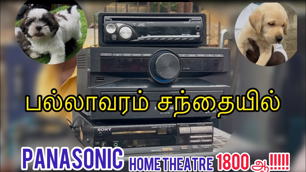 Pallavaram Friday market ✨Pallavaram santhai ✨பல்லாவரம் வார சந்தை 