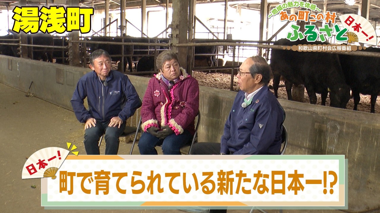 〜地域の魅力を体感〜　あの町この村　ふるさと日本一！ 「湯浅町」