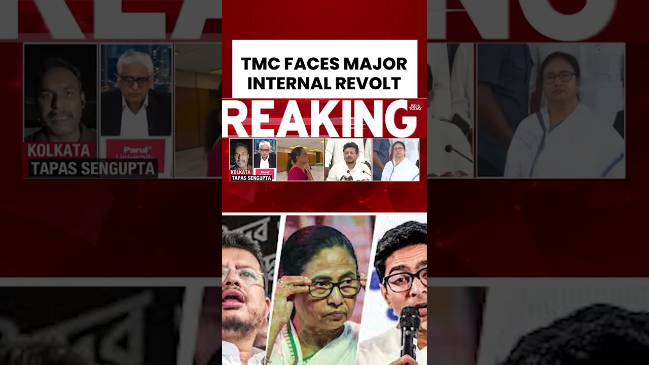 Кто теперь контролирует TMC? Масштабный внутренний раскол: разбор ситуации #tmc #западнаябенгалия...