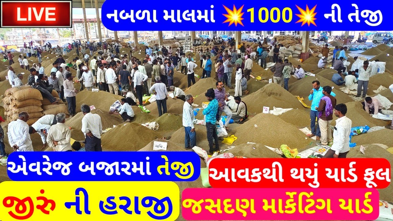 🔴 live cumin trading in jasdan APMC||jeera Na bhav||#જીરું,February 22, 2023