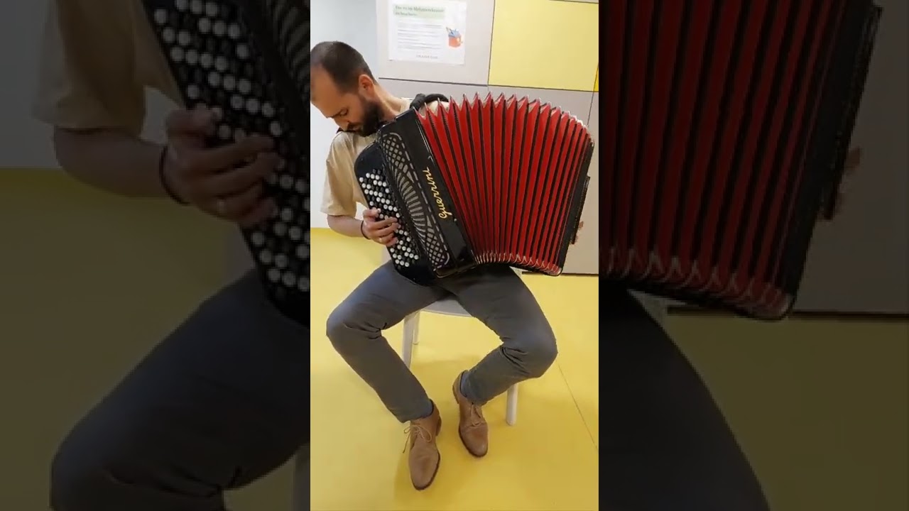 Sounds of GUERRINI by Nikola Zarić