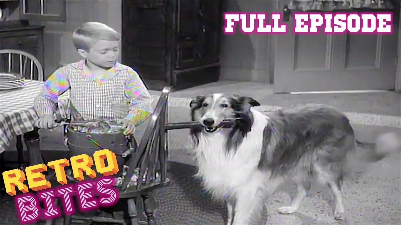 Lassie | A Christmas Story | Christmas Special | Full Episodes  🐕🎄