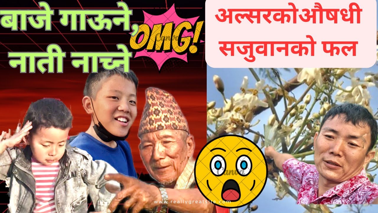  अल्सरको लागी फाईदाजनक सजुवानको फूल र फल 20 February 2026