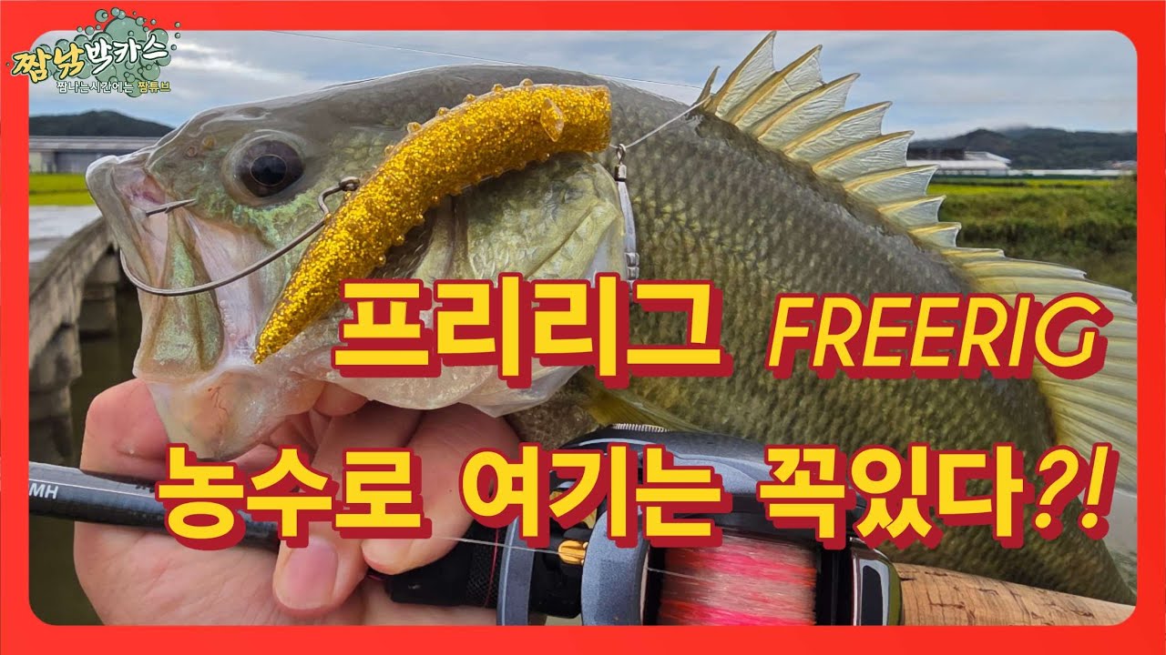 배스낚시 농수로 수로 여기는 꼭있다?! 수로 배스낚시! #프리리그 #농수로 #수로낚시 #세븐메이커스 #로치 #bassfishing #짬낚 #로치