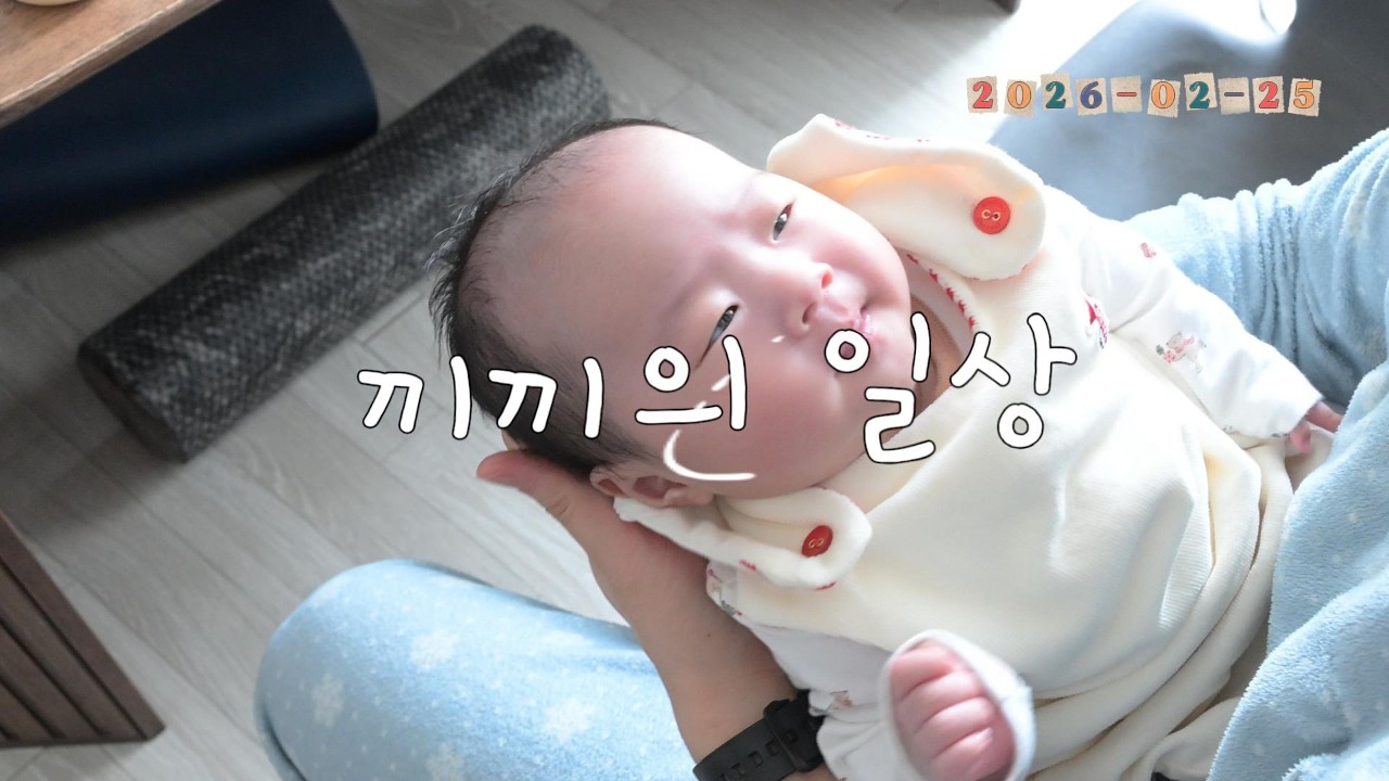 끼끼의 일상 8