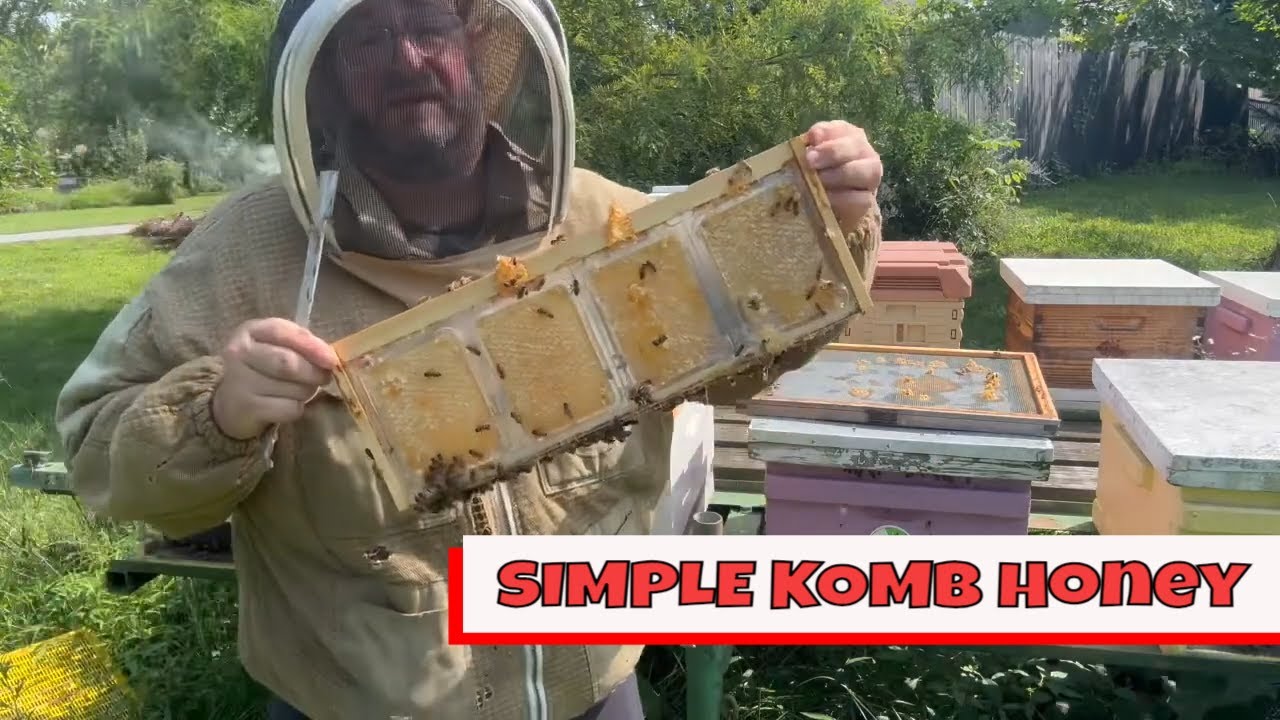 ПРОСТОЙ способ приготовления сотового мёда | Пчеловодство 🍯