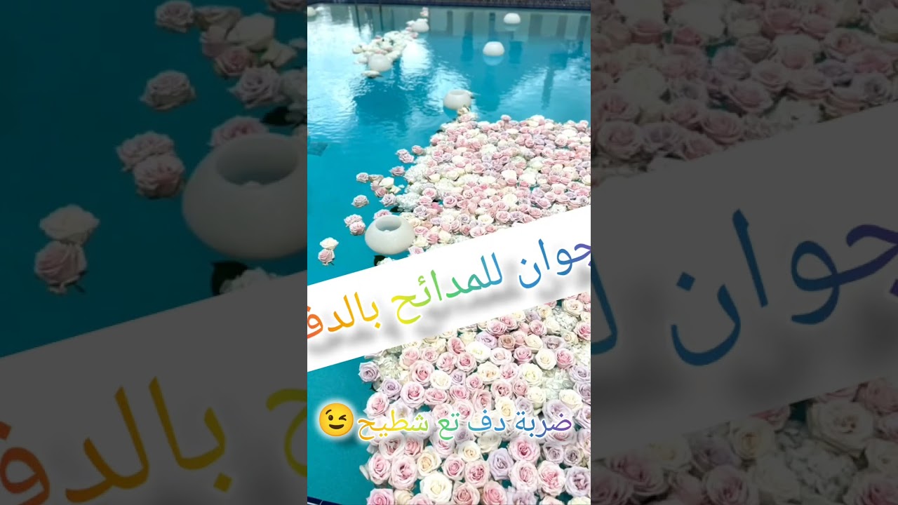 أرواحو أحضروا معانا عرس جزائري🇩🇿بالدف فقط✅...0562 54 37 17