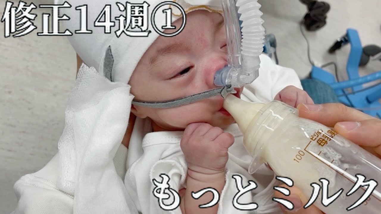 生後6ヶ月｜ミルクが足りなくて泣いちゃう赤ちゃんがかわいすぎました｜未熟児成長記録｜早産