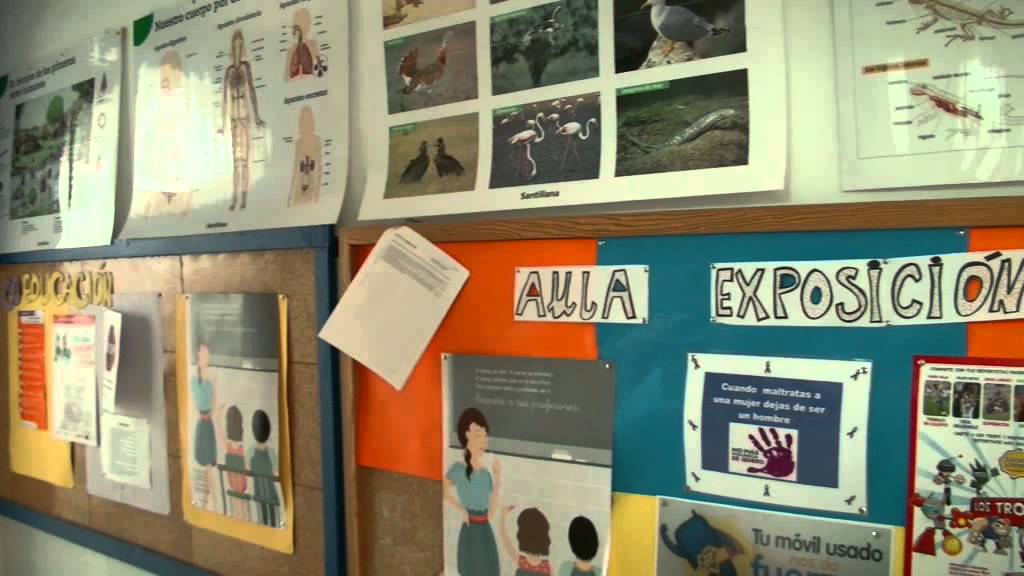 CEIP Ntra. Sra. del Rosario de El Gastor - 50º Aniversario