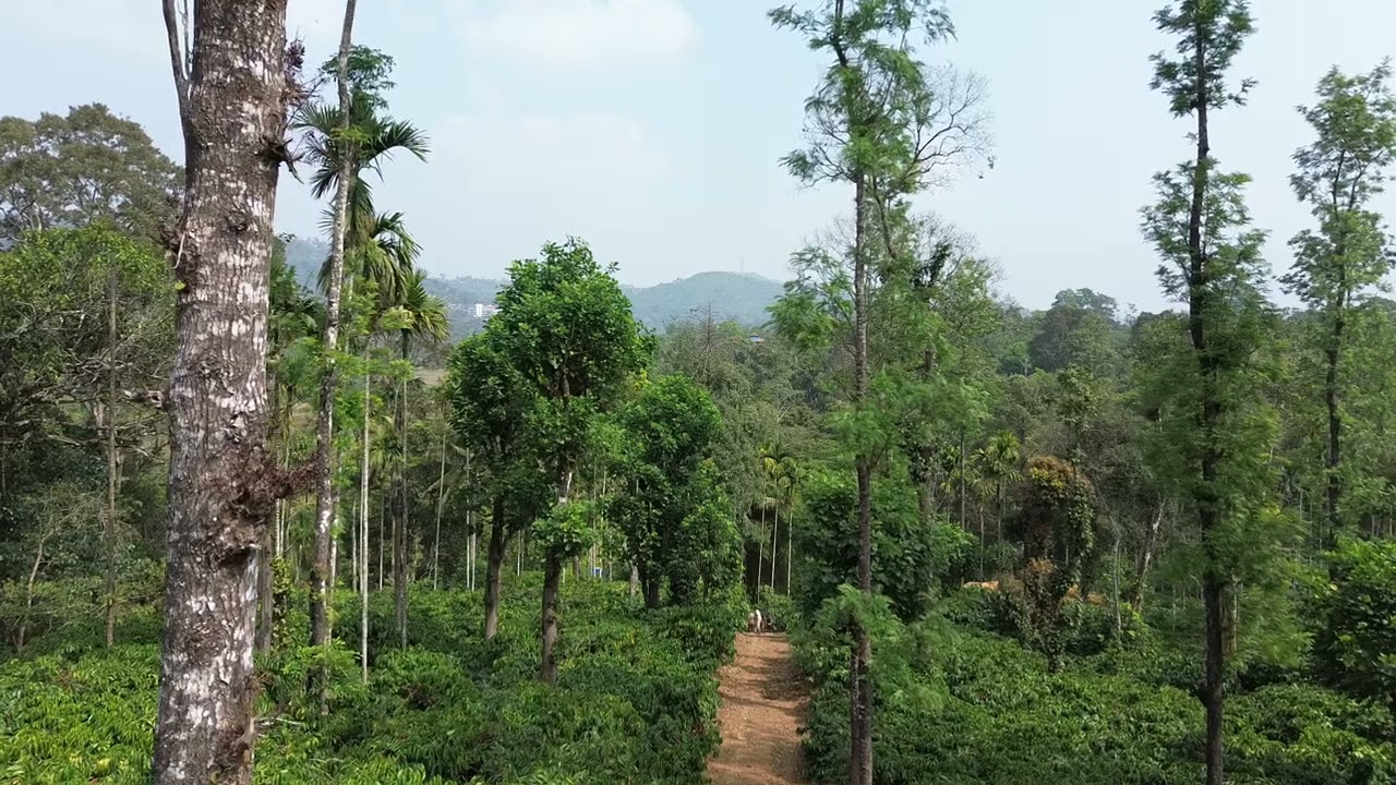 DJI 0073