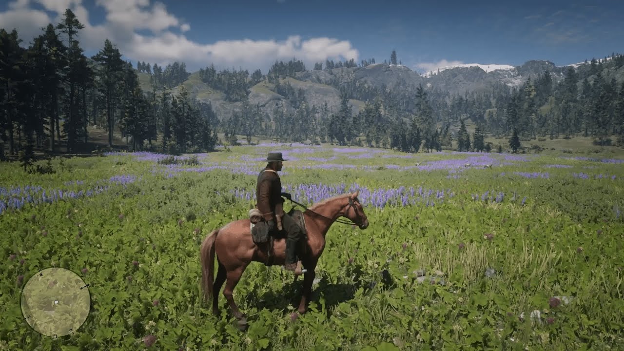 Red Dead Redemption 2 - Gameplay