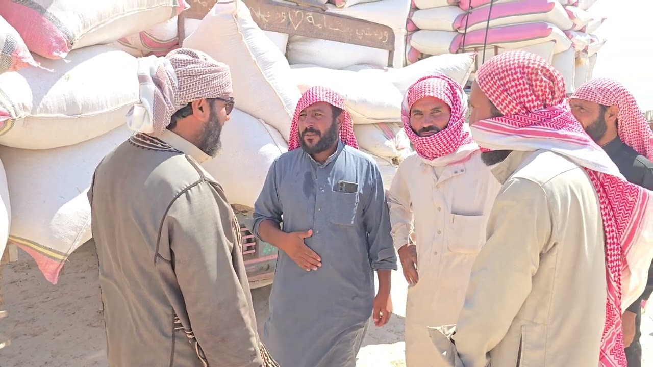 يوم الأحد 2024\6\23 سوق الرشيد أسعار التبن تتراوح بين (1000_1200) ↖️✅️🔥🔔