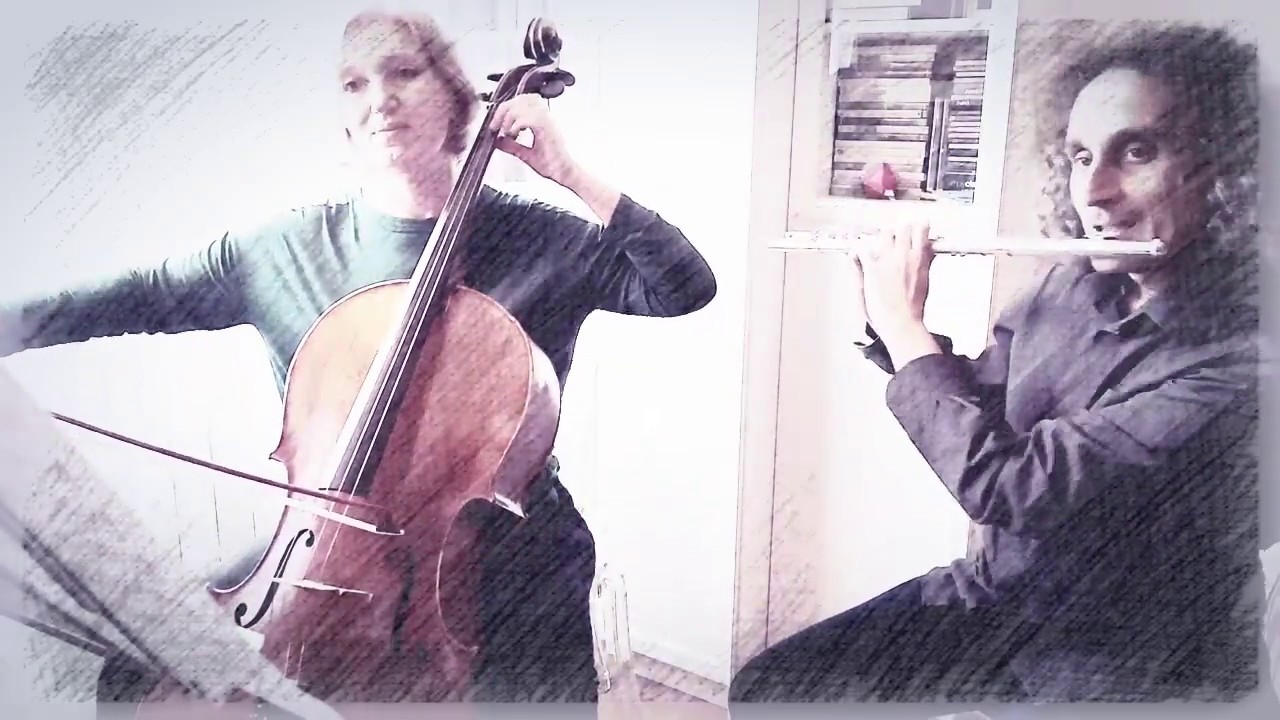 Linkin Park - One More Light (for flute and cello) (COVER)