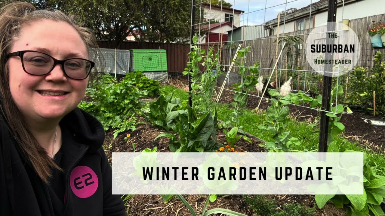 Winter Garden Update &ndash; Veggies, Fruit Trees, Potato Pots & Banana Alley! 🌱🍌