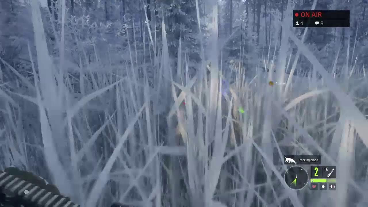 Hunter call of the wild #Medved