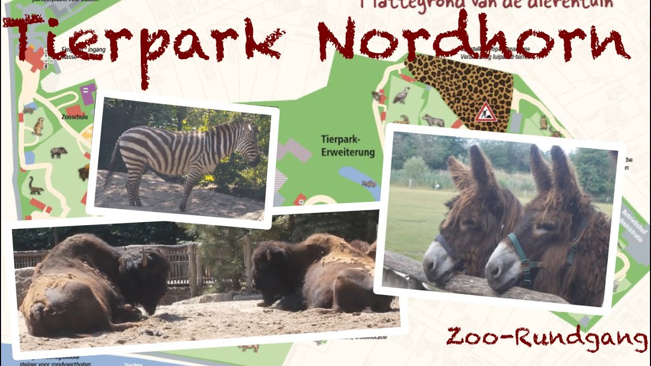 Tierpark Nordhorn 2020 🦓 | Zoo-Rundgang #1