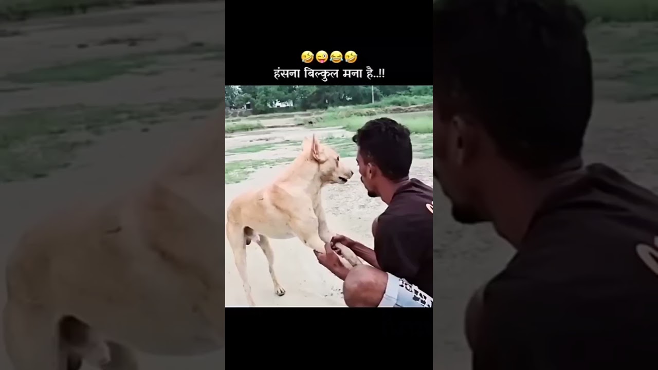 Epic Funny Video 😂😂😂 #shorts #viralshorts #comedy #funnymoments #fails #humor