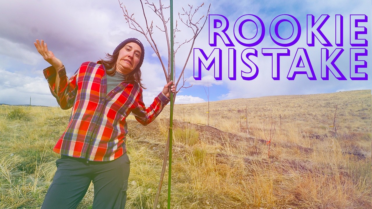 Learn From My Mistakes: High-Desert Permaculture Orchard Edition