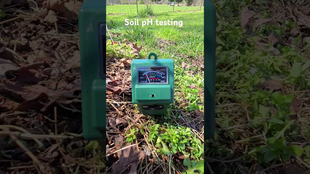 Soil pH testing Part 1. Does this cheap pH meter really work?