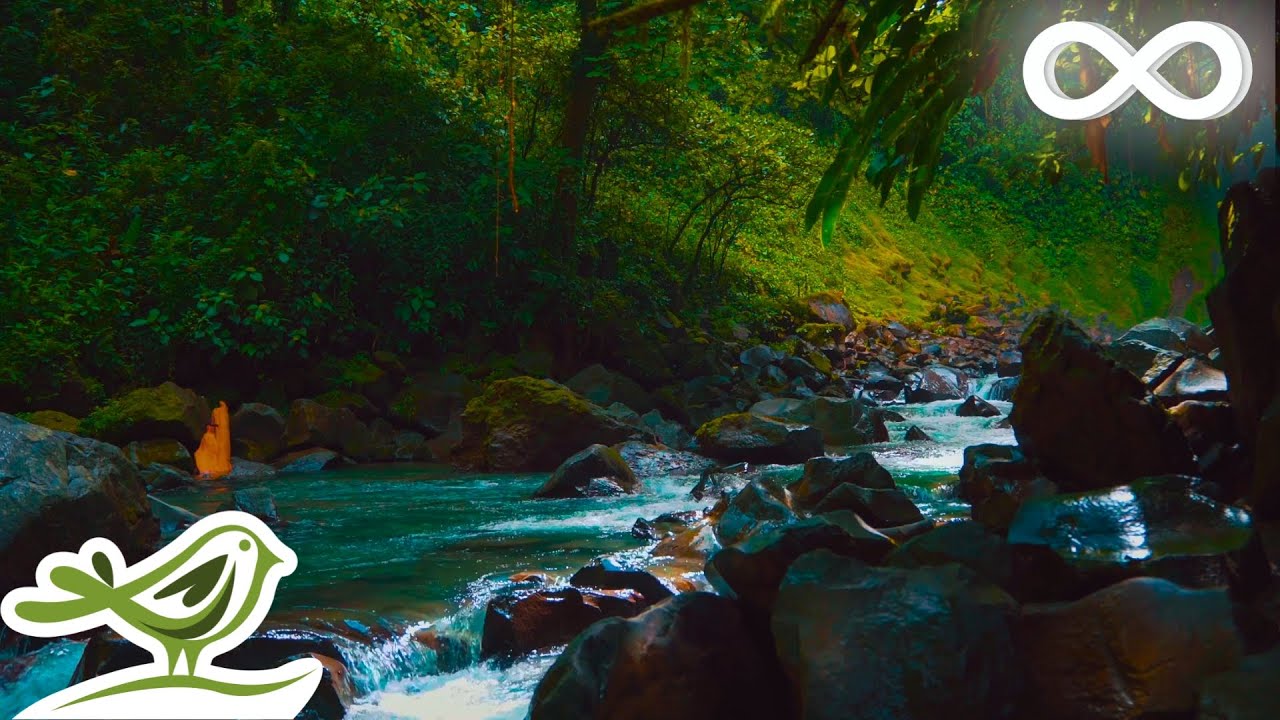 Midnight Calm: Расслабляющая Музыка и Звуки Воды для Сна, Спа, Йоги и Релаксации