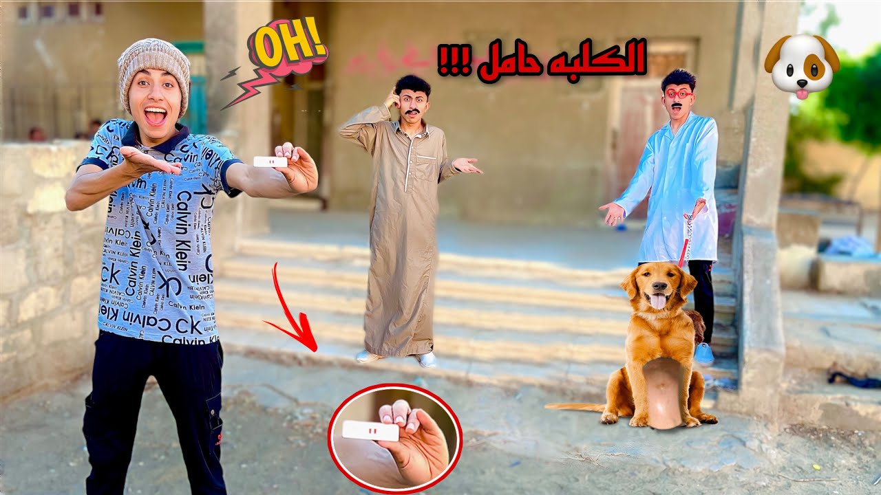 لما اخوك الصغير يشتري كلبه وتطلع حامل!! 🐶😂 | محمد عماد