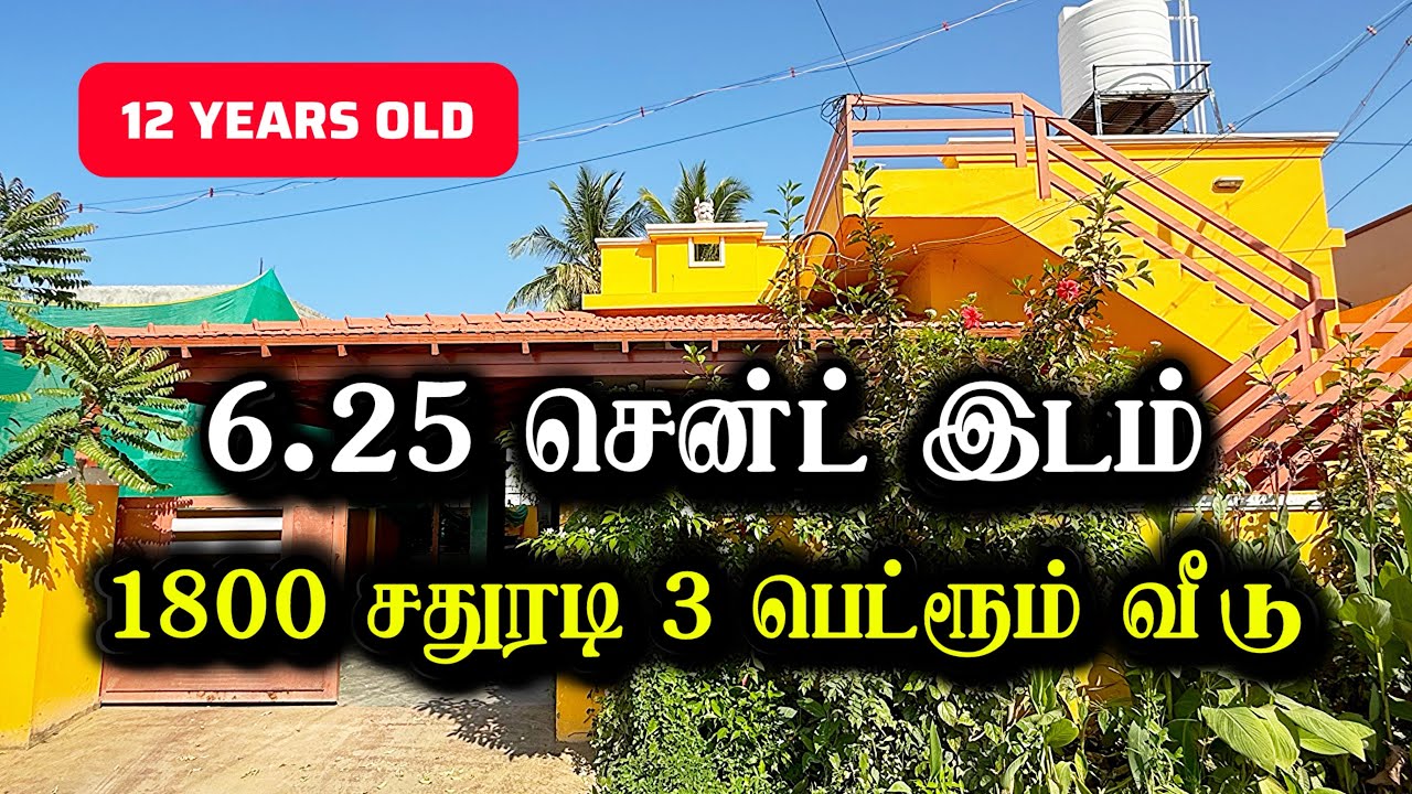 6.25 சென்டில் 😱 3 பெட்ரூம் வீடு ☎️ 9952850155 | 12 Years Old | House for sale Periyanayakanpalayam 