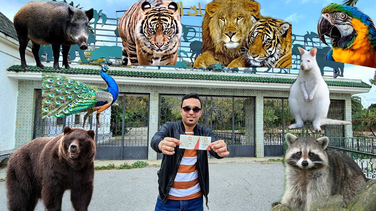 أكتشف معنا حديقة البلفيدير في تونس العاصمة😲🤩 Vlog10