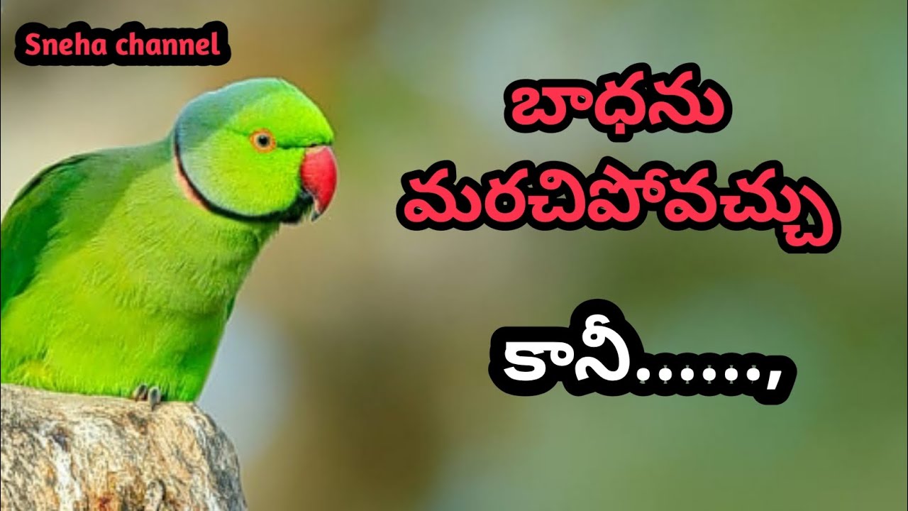 wonderful quotes#883#jivithasathyalu |Million dalar quotes |‌|Sneha channel