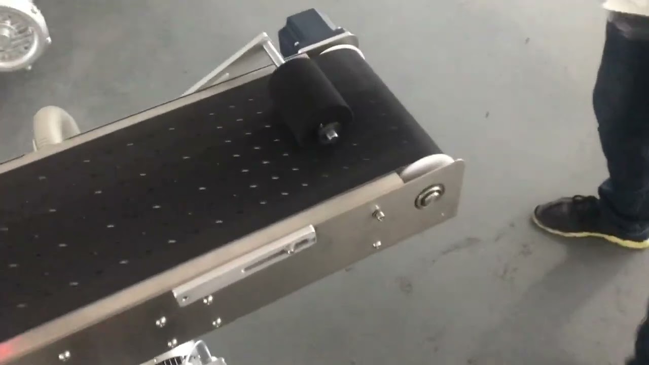 Automatic Feed Vacuum Bag Labelling machine with Vacuum Conveyor