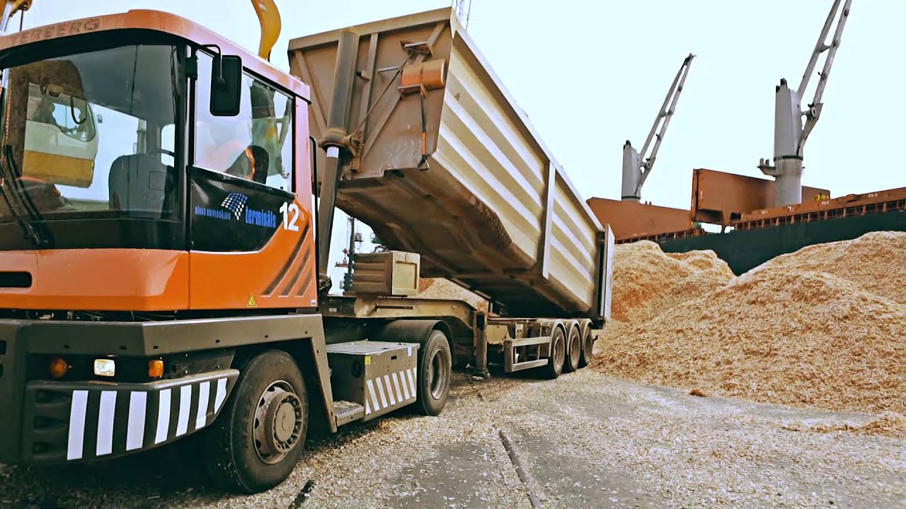 Riga Universal Terminal Bulk And General Cargo