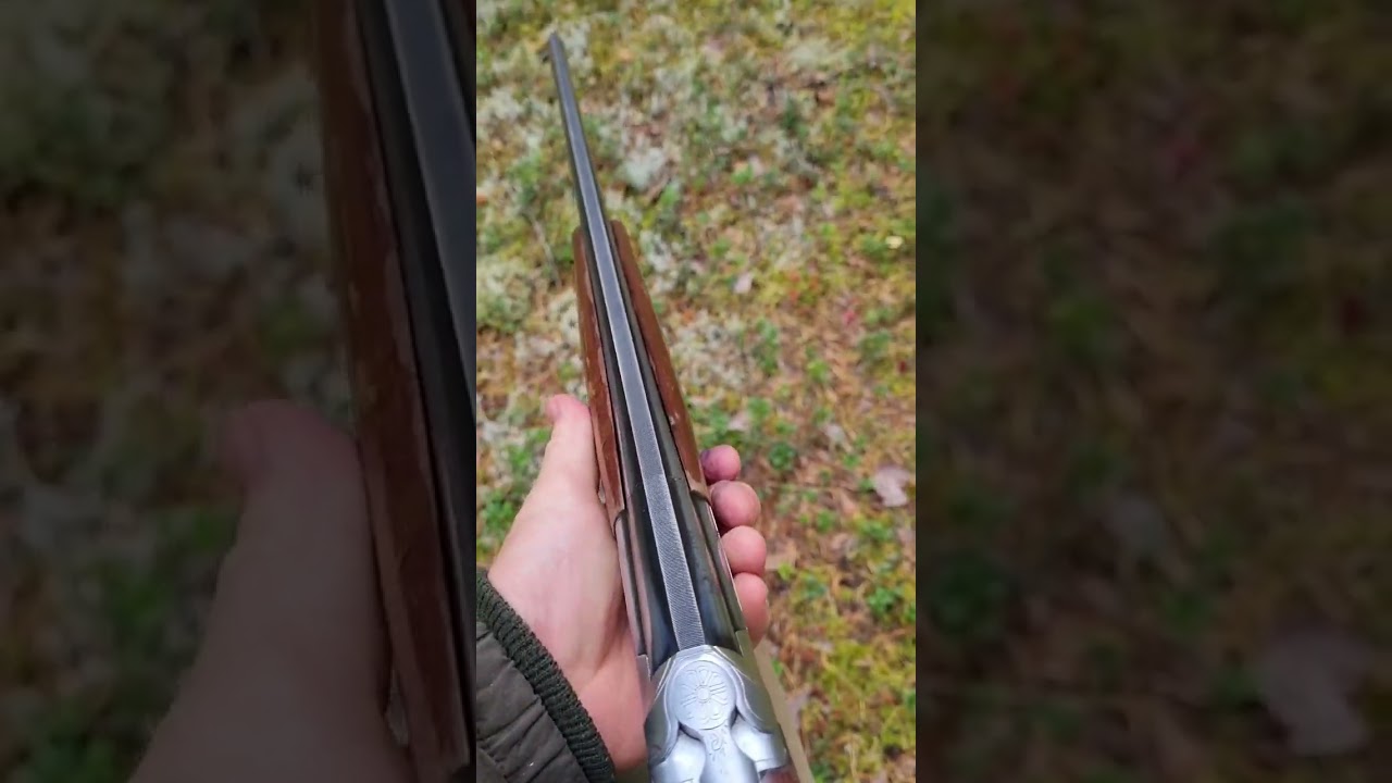 Shotgun 20 gauge/Ружьё 20 калибра 