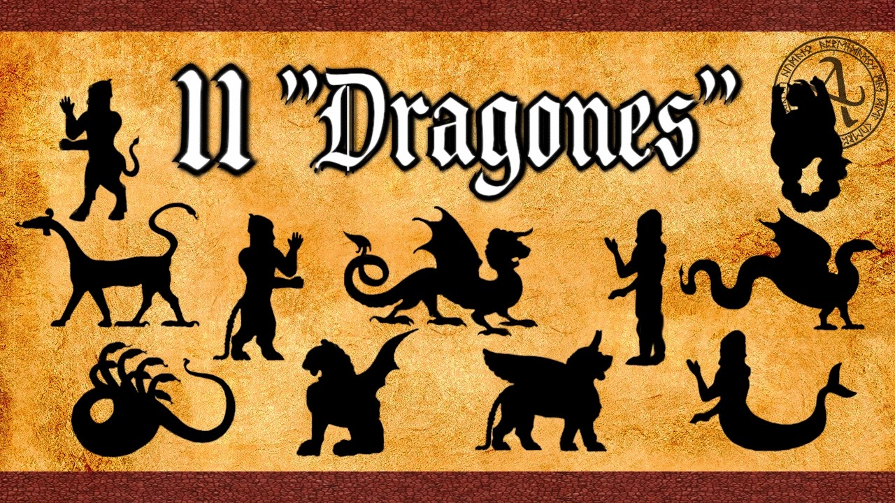 🐉Los 11 
