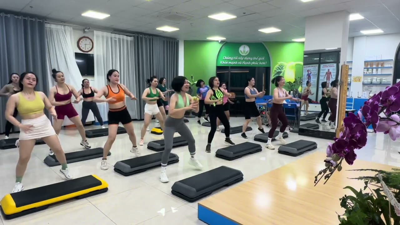 STEPHI Tại Hải Dương 