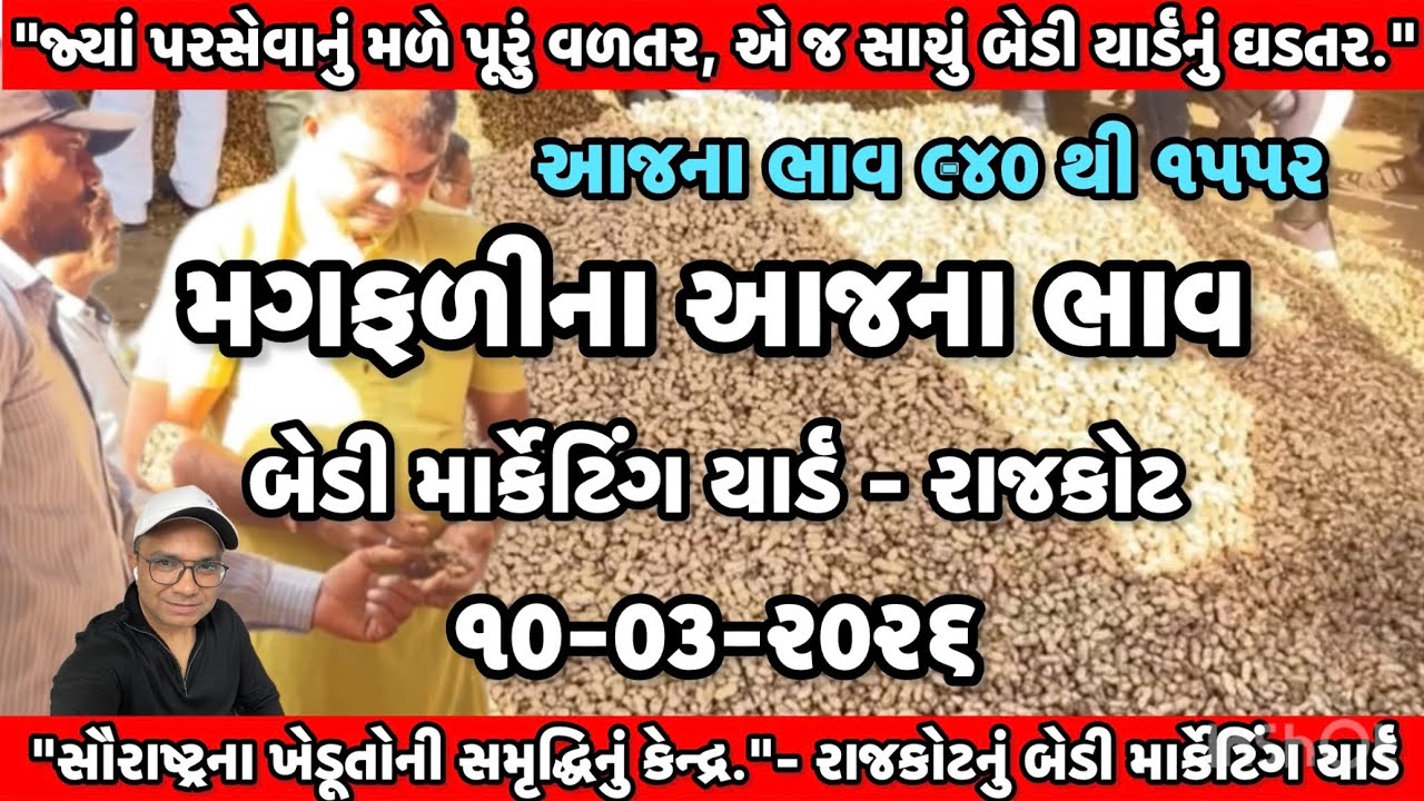 બેડી માર્કેટિંગ યાર્ડ | મગફળીના આજના ભાવ | ૧૦-૦૩-૨૦૨૬ | #ajnabhav #magfadi #bhav #bediyard #rajkot 