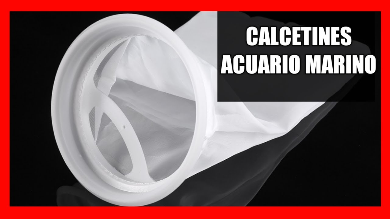 😱 CALCETINES de Acuario Marino uno de los MAYORES SECRETOS de la filtración mecánica